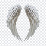 White Angel Wings, White Angel, White Angel Wings PNG, White, Angel Wings PNG, Wings PNG, Angel, Angel PNG, PNG, PNG Images, Transparent Files, png free, png file, Free PNG, png download,
