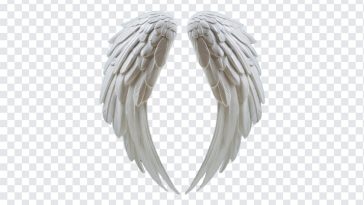 White Angel Wings, White Angel, White Angel Wings PNG, White, Angel Wings PNG, Wings PNG, Angel, Angel PNG, PNG, PNG Images, Transparent Files, png free, png file, Free PNG, png download,