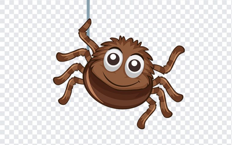 Cute Spider Hanging, Cute Spider, Cute Spider Hanging PNG, Cute, Spider PNG, Spider Clipart PNG, PNG, PNG Images, Transparent Files, png free, png file, Free PNG, png download,