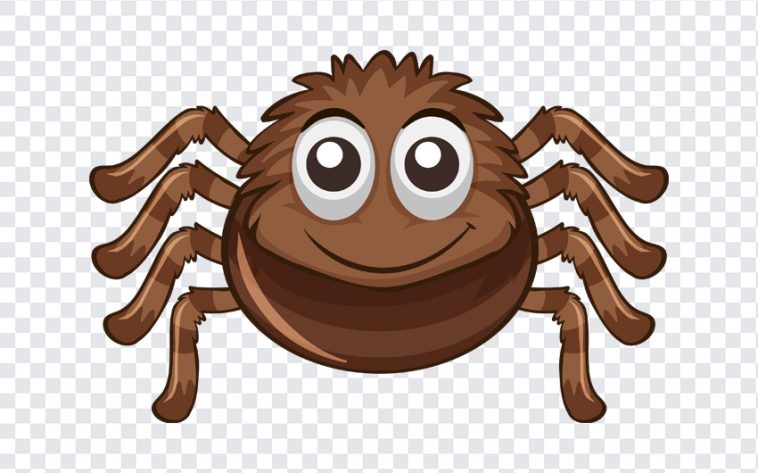 Cute Spider, Cute, Cute Spider PNG, Spider PNG, PNG, PNG Images, Transparent Files, png free, png file, Free PNG, png download,