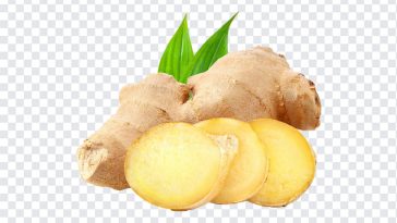 Ginger with leaves, Ginger with leaves PNG, Ginger PNG, Ginger Benefits, PNG, PNG Images, Transparent Files, png free, png file, Free PNG, png download,
