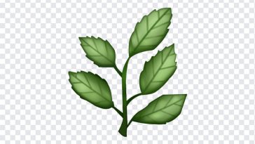 Herb Emoji, Herb, Herb Emoji PNG, iOS Emoji, iphone emoji, Emoji PNG, iOS Emoji PNG, Apple Emoji, Apple Emoji PNG, PNG, PNG Images, Transparent Files, png free, png file, Free PNG, png download,