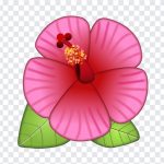 Hibiscus Flower Emoji, Hibiscus Flower, Hibiscus Flower Emoji PNG, Hibiscus, iOS Emoji, iphone emoji, Emoji PNG, iOS Emoji PNG, Apple Emoji, Apple Emoji PNG, PNG, PNG Images, Transparent Files, png free, png file, Free PNG, png download,