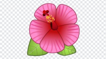 Hibiscus Flower Emoji, Hibiscus Flower, Hibiscus Flower Emoji PNG, Hibiscus, iOS Emoji, iphone emoji, Emoji PNG, iOS Emoji PNG, Apple Emoji, Apple Emoji PNG, PNG, PNG Images, Transparent Files, png free, png file, Free PNG, png download,