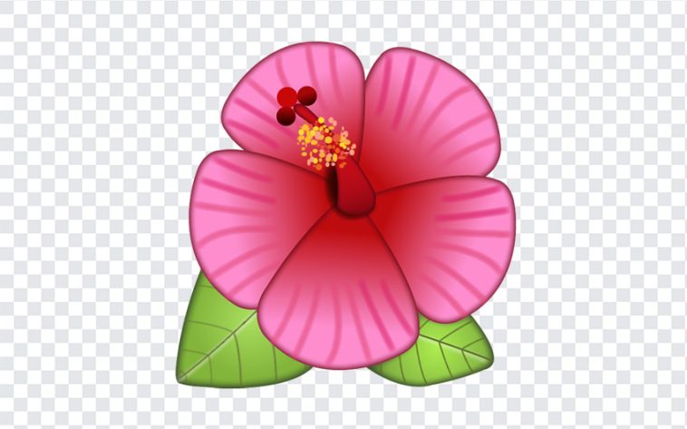 Hibiscus Flower Emoji, Hibiscus Flower, Hibiscus Flower Emoji PNG, Hibiscus, iOS Emoji, iphone emoji, Emoji PNG, iOS Emoji PNG, Apple Emoji, Apple Emoji PNG, PNG, PNG Images, Transparent Files, png free, png file, Free PNG, png download,