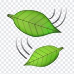 Leaf Falling, Leaf, Leaf Falling Emoji, iOS Emoji, iphone emoji, Emoji PNG, iOS Emoji PNG, Apple Emoji, Apple Emoji PNG, PNG, PNG Images, Transparent Files, png free, png file, Free PNG, png download,