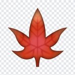 Maple Leaf, Maple, Maple Leaf Emoji, iOS Emoji, iphone emoji, Emoji PNG, iOS Emoji PNG, Apple Emoji, Apple Emoji PNG, PNG, PNG Images, Transparent Files, png free, png file, Free PNG, png download,
