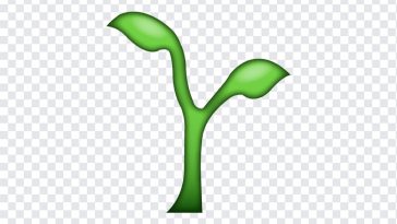 Seedling Emoji, Seedling, Seedling Emoji PNG, iOS Emoji, iphone emoji, Emoji PNG, iOS Emoji PNG, Apple Emoji, Apple Emoji PNG, PNG, PNG Images, Transparent Files, png free, png file, Free PNG, png download,