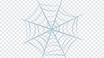 Spider Web, Spider, Spider Web PNG, Spiderman, PNG, PNG Images, Transparent Files, png free, png file, Free PNG, png download,