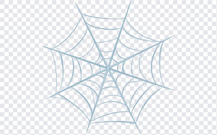 Spider Web, Spider, Spider Web PNG, Spiderman, PNG, PNG Images, Transparent Files, png free, png file, Free PNG, png download,