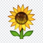 Sunflower Emoji, Sunflower, Sunflower Emoji PNG, iOS Emoji, iphone emoji, Emoji PNG, iOS Emoji PNG, Apple Emoji, Apple Emoji PNG, PNG, PNG Images, Transparent Files, png free, png file, Free PNG, png download,