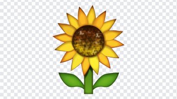 Sunflower Emoji, Sunflower, Sunflower Emoji PNG, iOS Emoji, iphone emoji, Emoji PNG, iOS Emoji PNG, Apple Emoji, Apple Emoji PNG, PNG, PNG Images, Transparent Files, png free, png file, Free PNG, png download,
