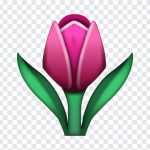 Tulip Emoji, Tulip, Tulip Flower, Tuplip Flower Emoji, Tulip Emoji PNG, iOS Emoji, iphone emoji, Emoji PNG, iOS Emoji PNG, Apple Emoji, Apple Emoji PNG, PNG, PNG Images, Transparent Files, png free, png file, Free PNG, png download,