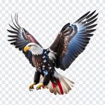 USA Freedom Eagle, USA Freedom, USA Freedom Eagle PNG, USA, T Shirt Design, Free Print, Print, Stickers, PNG, PNG Images, Transparent Files, png free, png file, Free PNG, png download,
