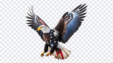 USA Freedom Eagle, USA Freedom, USA Freedom Eagle PNG, USA, T Shirt Design, Free Print, Print, Stickers, PNG, PNG Images, Transparent Files, png free, png file, Free PNG, png download,