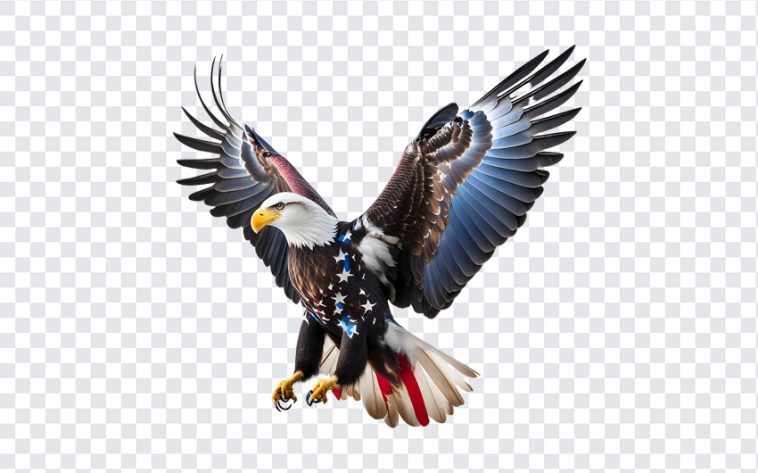 USA Freedom Eagle, USA Freedom, USA Freedom Eagle PNG, USA, T Shirt Design, Free Print, Print, Stickers, PNG, PNG Images, Transparent Files, png free, png file, Free PNG, png download,