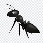 Ant Emoji, Ant, Ant Emoji PNG, iOS Emoji, iphone emoji, Emoji PNG, iOS Emoji PNG, Apple Emoji, Apple Emoji PNG, PNG, PNG Images, Transparent Files, png free, png file, Free PNG, png download,