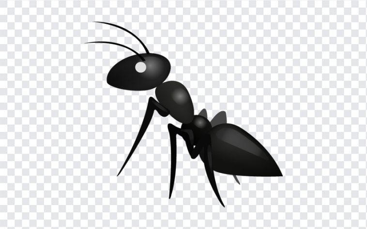 Ant Emoji, Ant, Ant Emoji PNG, iOS Emoji, iphone emoji, Emoji PNG, iOS Emoji PNG, Apple Emoji, Apple Emoji PNG, PNG, PNG Images, Transparent Files, png free, png file, Free PNG, png download,