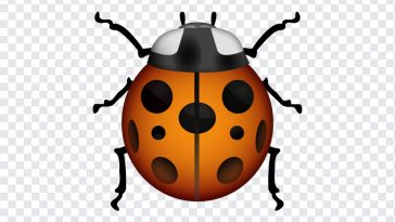 Lady Beetle Emoji, Lady Beetle, Lady Beetle Emoji PNG, iOS Emoji, iphone emoji, Emoji PNG, iOS Emoji PNG, Apple Emoji, Apple Emoji PNG, Lady, PNG, PNG Images, Transparent Files, png free, png file, Free PNG, png download,