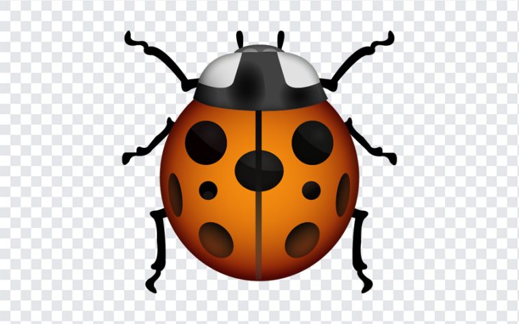 Lady Beetle Emoji, Lady Beetle, Lady Beetle Emoji PNG, iOS Emoji, iphone emoji, Emoji PNG, iOS Emoji PNG, Apple Emoji, Apple Emoji PNG, Lady, PNG, PNG Images, Transparent Files, png free, png file, Free PNG, png download,