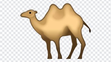 Camel Emoji, Camel, Camel Emoji PNG, iOS Emoji, iphone emoji, Emoji PNG, iOS Emoji PNG, Apple Emoji, Apple Emoji PNG, PNG, PNG Images, Transparent Files, png free, png file, Free PNG, png download,