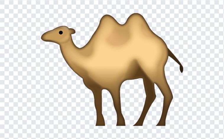 Camel Emoji, Camel, Camel Emoji PNG, iOS Emoji, iphone emoji, Emoji PNG, iOS Emoji PNG, Apple Emoji, Apple Emoji PNG, PNG, PNG Images, Transparent Files, png free, png file, Free PNG, png download,