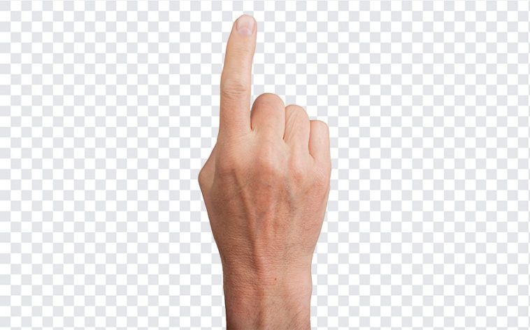 Hand Pointing Up With Index Finger, Hand Pointing Up With Index, Hand Pointing Up With Index Finger PNG, Hand Pointing Up PNG, Index Finger PNG, PNG, PNG Images, Transparent Files, png free, png file, Free PNG, png download,