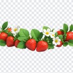 Strawberry Vine, Strawberry, Strawberry Vine PNG, Vine PNG, PNG, PNG Images, Transparent Files, png free, png file, Free PNG, png download,