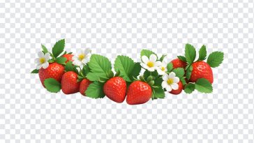 Strawberry Vine, Strawberry, Strawberry Vine PNG, Vine PNG, PNG, PNG Images, Transparent Files, png free, png file, Free PNG, png download,