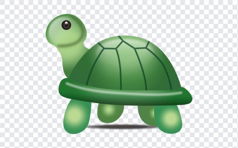 Turtle Emoji, Turtle, Turtle Emoji PNG, iOS Emoji, iphone emoji, Emoji PNG, iOS Emoji PNG, Apple Emoji, Apple Emoji PNG, PNG, PNG Images, Transparent Files, png free, png file, Free PNG, png download,