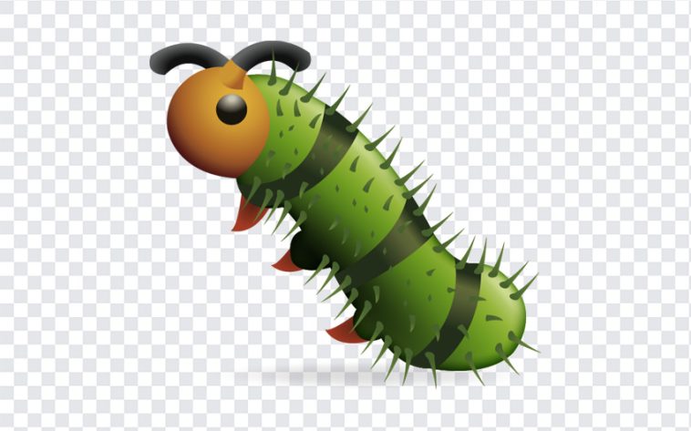 Caterpillar Bug Emoji, Caterpillar Bug, Caterpillar Bug Emoji PNG, Caterpillars, iOS Emoji, iphone emoji, Emoji PNG, iOS Emoji PNG, Apple Emoji, Apple Emoji PNG, PNG, PNG Images, Transparent Files, png free, png file, Free PNG, png download,