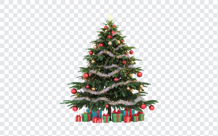 Christmas Tree, Christmas, Christmas Tree PNG, PNG, PNG Images, Transparent Files, png free, png file, Free PNG, png download,