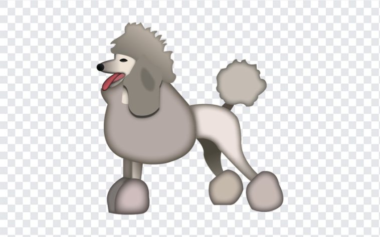 Poodle Dog Emoji, Poodle Dog, Poodle Dog Emoji PNG, Poodle, iOS Emoji, iphone emoji, Emoji PNG, iOS Emoji PNG, Apple Emoji, Apple Emoji PNG, PNG, PNG Images, Transparent Files, png free, png file, Free PNG, png download,