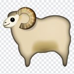 Sheep Emoji, Sheep, Sheep Emoji PNG, iOS Emoji, iphone emoji, Emoji PNG, iOS Emoji PNG, Apple Emoji, Apple Emoji PNG, PNG, PNG Images, Transparent Files, png free, png file, Free PNG, png download,