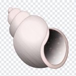 Spiral Shell Emoji, Spiral Shell, Spiral Shell Emoji PNG, Spiral, iOS Emoji, iphone emoji, Emoji PNG, iOS Emoji PNG, Apple Emoji, Apple Emoji PNG, PNG, PNG Images, Transparent Files, png free, png file, Free PNG, png download,