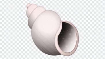 Spiral Shell Emoji, Spiral Shell, Spiral Shell Emoji PNG, Spiral, iOS Emoji, iphone emoji, Emoji PNG, iOS Emoji PNG, Apple Emoji, Apple Emoji PNG, PNG, PNG Images, Transparent Files, png free, png file, Free PNG, png download,