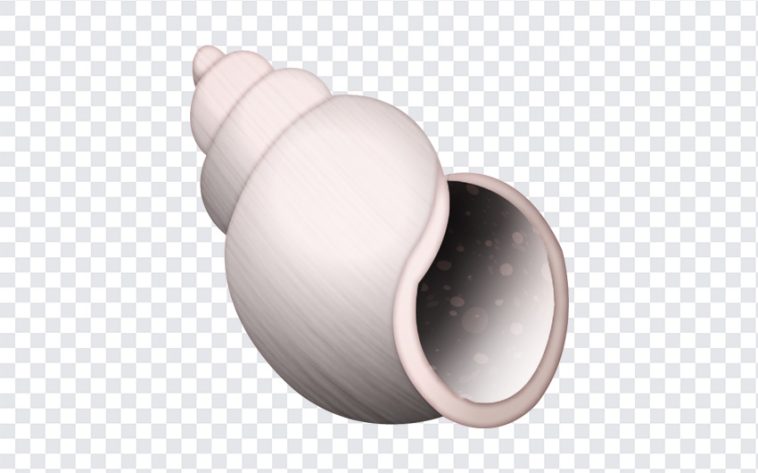 Spiral Shell Emoji, Spiral Shell, Spiral Shell Emoji PNG, Spiral, iOS Emoji, iphone emoji, Emoji PNG, iOS Emoji PNG, Apple Emoji, Apple Emoji PNG, PNG, PNG Images, Transparent Files, png free, png file, Free PNG, png download,