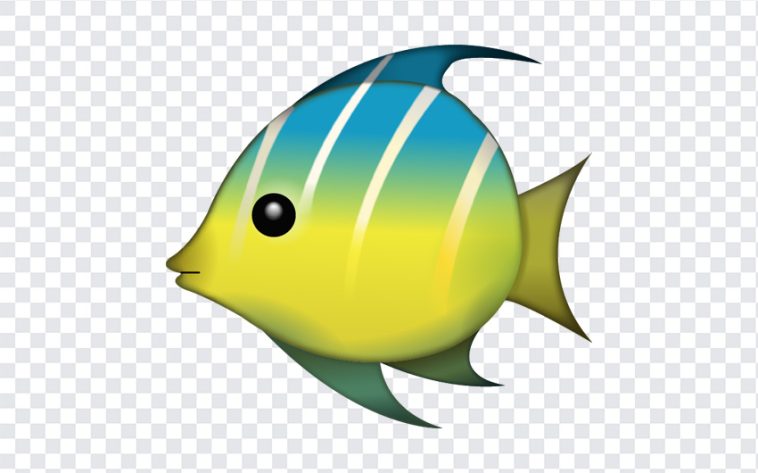 Tropical Fish Emoji, Tropical Fish, Tropical Fish Emoji PNG, Tropical, iOS Emoji, iphone emoji, Emoji PNG, iOS Emoji PNG, Apple Emoji, Apple Emoji PNG, PNG, PNG Images, Transparent Files, png free, png file, Free PNG, png download,