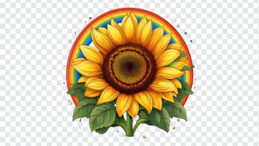 Rainbow and Sunflower, Tshirt Designs, Rainbow and Sunflower PNG, Rainbow, PNG, PNG Images, Transparent Files, png free, png file, Free PNG, png download,