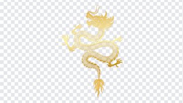 Chinese Gold Dragon, Chinese Gold, Chinese Gold Dragon PNG, Dragon PNG, Tattoo PNG, Chinese, PNG, PNG Images, Transparent Files, png free, png file, Free PNG, png download,