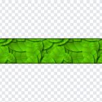 Leaf Website Button, Leaf Website, Leaf Website Button PNG, Leaf, Website Button PNG, Green Button PNG, Button PNG, PNG, PNG Images, Transparent Files, png free, png file, Free PNG, png download,