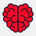 Brain Heart, Brain, Brain Heart PNG, Heart PNG, Brain PNG, PNG, PNG Images, Transparent Files, png free, png file, Free PNG, png download,