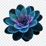 Futuristic Flower, Futuristic, Futuristic Flower PNG, Flower PNG, PNG, PNG Images, Transparent Files, png free, png file, Free PNG, png download,