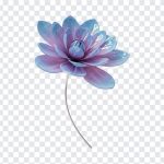 Modern Glass Flower, Modern Glass, Modern Glass Flower PNG, Modern, Glass Flower PNG, Flower, Flower PNG, PNG, PNG Images, Transparent Files, png free, png file, Free PNG, png download,