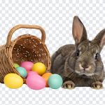 Easter Eggs and Rabbit PNG, Easter Eggs, Easter PNG, Realistic Easter Eggs and Rabbit, Realistic Easter Eggs and Rabbit PNG, Realistic Easter Eggs, PNG, PNG Images, Transparent Files, png free, png file, Free PNG, png download,