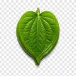 Sinhala Awurudu Bulath Atha PNG, Sinhala Awurudu, Bulath Atha PNG, Betel Leaves, Betel Leaf, Srilanka, Sinhala Charithra, PNG, PNG Images, Transparent Files, png free, png file, Free PNG, png download,