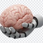 Human Brain on Robot Hand, AI Icon, AI Robot Hand, Brain AI PNG, ChatGPT, Grok, Robot Hand PNG, Human Brain on Robot Hand PNG, Human Brain on, PNG, PNG Images, Transparent Files, png free, png file, Free PNG, png download,