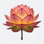 Lotus Vesak Lantern, Lantern PNG, Vesak Kudu, Lord Buddha's Birthday, Lotus Vesak, Lotus Vesak Lantern PNG, Lotus, PNG, PNG Images, Transparent Files, png free, png file, Free PNG, png download,