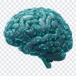 AI, Brain PNG, Scifi AI Brain, Scifi AI, Scifi AI Brain PNG, Scifi, PNG, PNG Images, Transparent Files, png free, png file, Free PNG, png download,