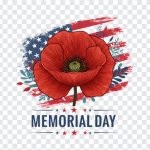USA Memorial Day Poppy Flower, Memorial Day Poppy Flower PNG, USA Flag, July 4th, Poppy Flower PNG, USA Memorial Day Poppy, USA Memorial Day Poppy Flower PNG, USA Memorial Day, PNG, PNG Images, Transparent Files, png free, png file, Free PNG, png download,